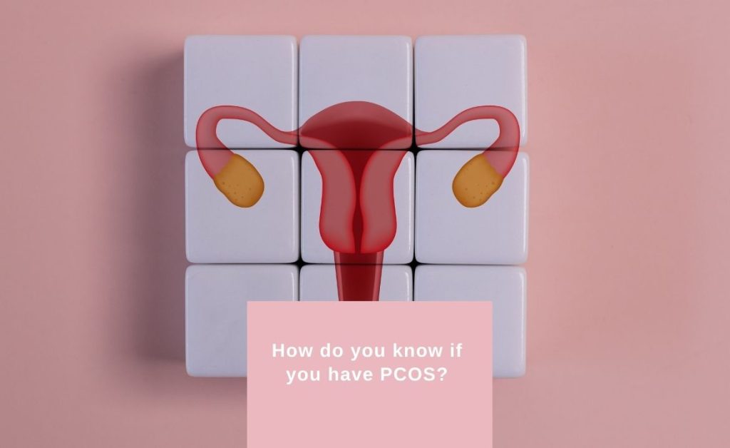 PCOS, Image of a uterus