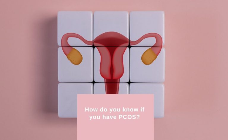 PCOS, Image of a uterus